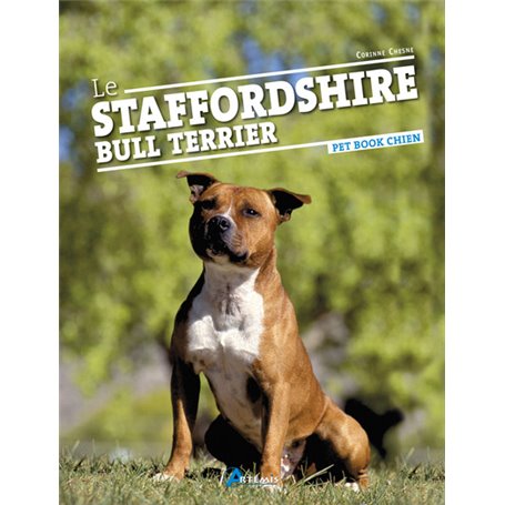 Le staffordshire bull terrier