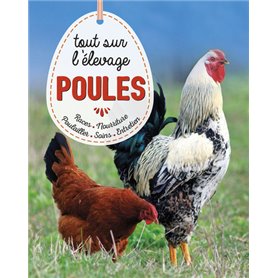 Poules, tout savoir sur l'élevage