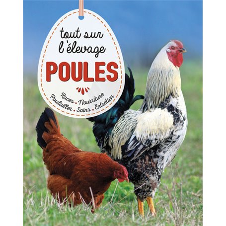 Poules, tout savoir sur l'élevage