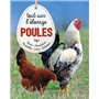 Poules, tout savoir sur l'élevage