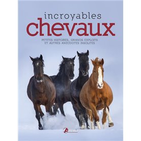 Incroyables chevaux