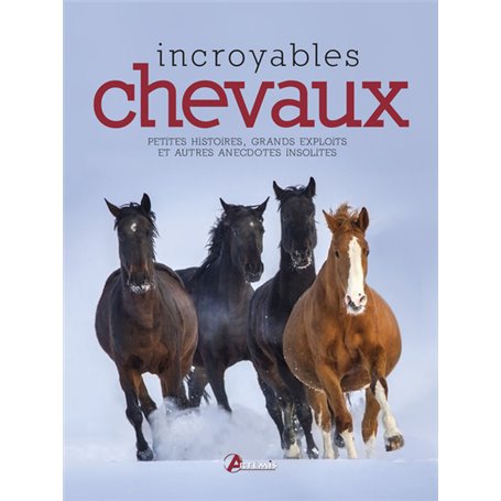 Incroyables chevaux