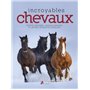 Incroyables chevaux