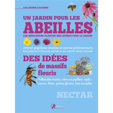 Un jardin pour les abeilles, les meilleures plantes mellifères