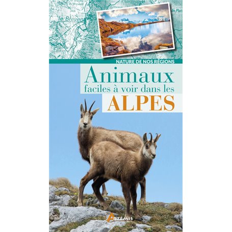 Animaux faciles à voir dans les Alpes