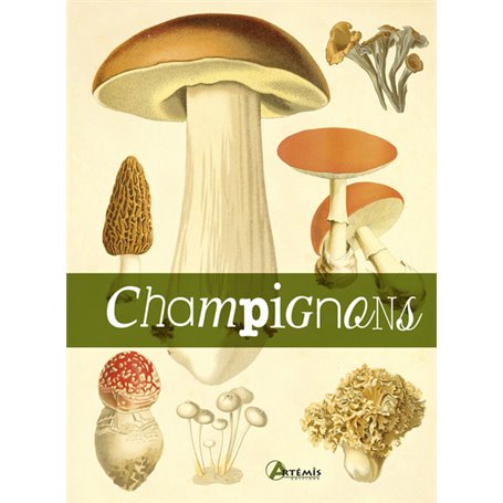 Le livre des champignons