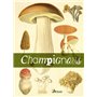 Le livre des champignons