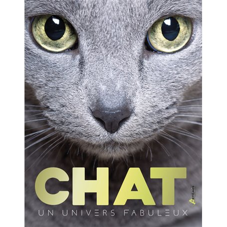 Chat, un univers fabuleux