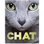 Chat, un univers fabuleux