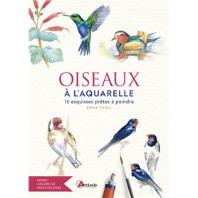 Oiseaux à l'aquarelle