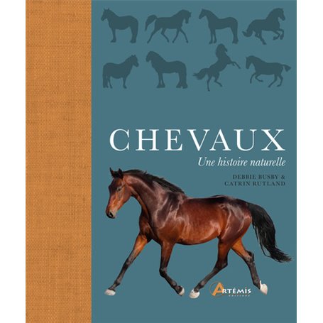 Chevaux, une histoire naturelle