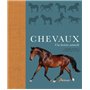 Chevaux, une histoire naturelle