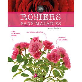 Rosiers sans maladies