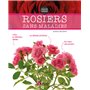 Rosiers sans maladies