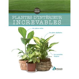 Plantes d'intérieur increvables