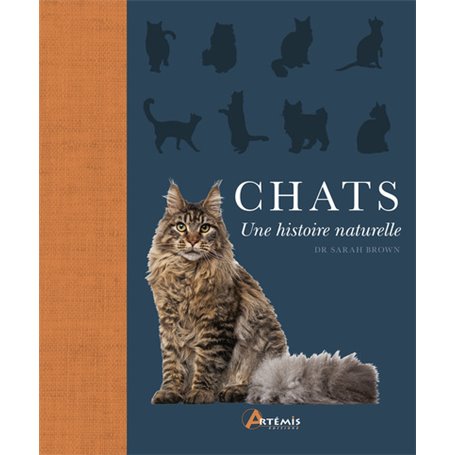 Chats, une histoire naturelle