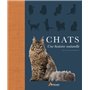 Chats, une histoire naturelle