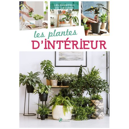 Plantes d'intérieur (Les)