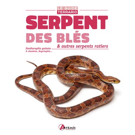 Serpent des blés & autres serpents ratiers