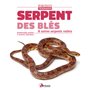 Serpent des blés & autres serpents ratiers