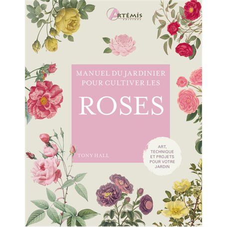 Pour cultiver les roses