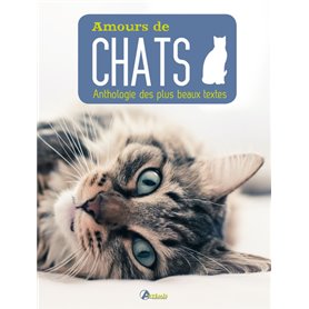 Amours de chat