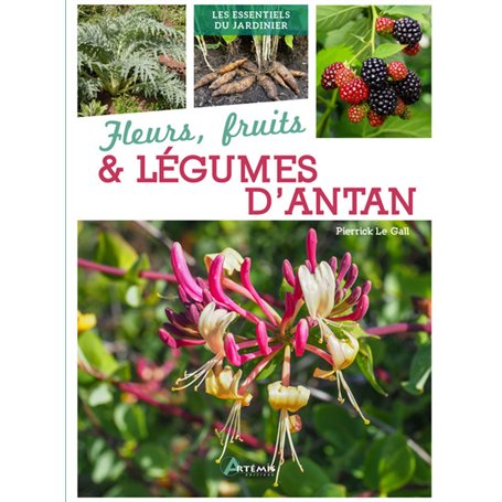 Fleurs, fruits & légumes d'antan