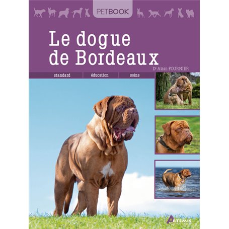 Dogue de Bordeaux