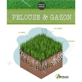 Pelouse & gazon