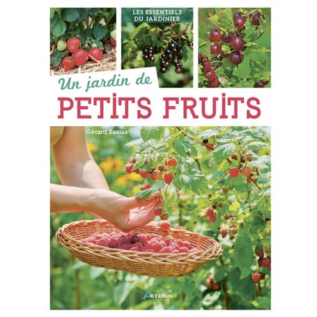 Un jardin de petits fruits