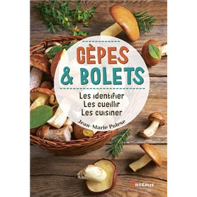 Cèpes & bolets