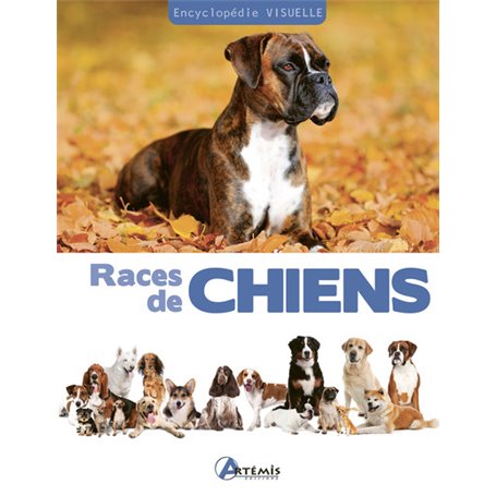 Races de chiens