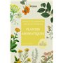 Pour cultiver les plantes aromatiques