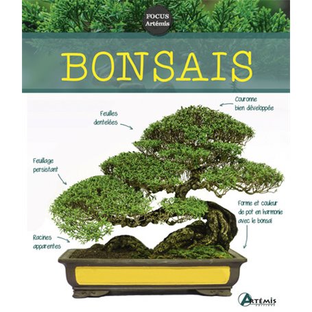 Bonsaïs - Nouvelle édition