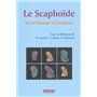 LE SCAPHOIDE