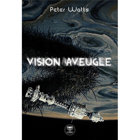 Vision aveugle