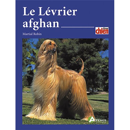 Le lévrier afghan