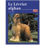 Le lévrier afghan