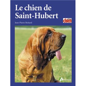 Le chien de Saint-Hubert