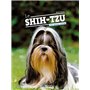 Le shih-tzu