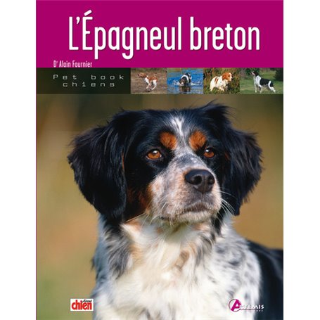 L'épagneul breton