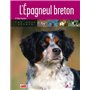 L'épagneul breton