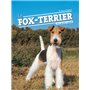 Le fox-terrier