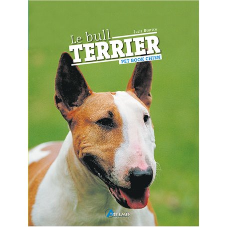 Le bull terrier