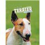 Le bull terrier