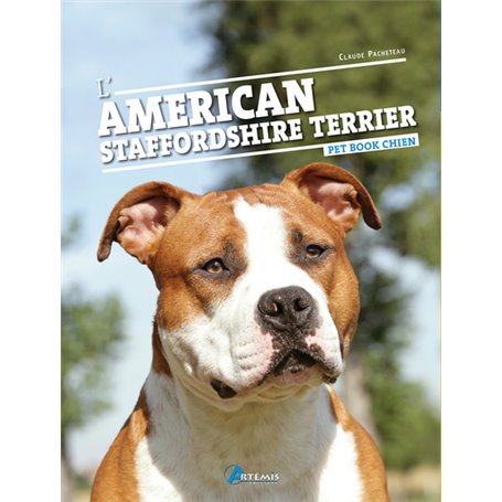 L'american staffordshire terrier