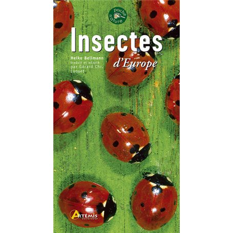 Insectes d'Europe