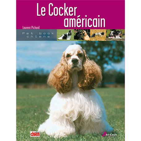 Le cocker américain