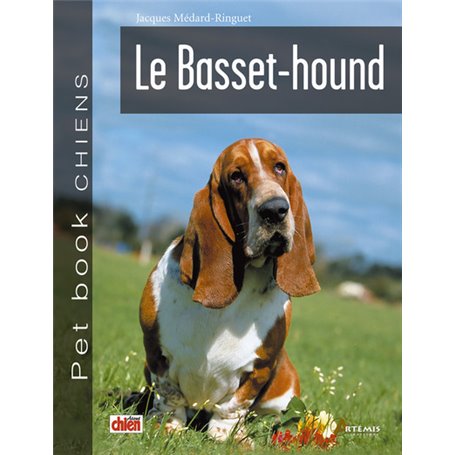 Le basset-hound