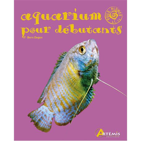 Aquarium pour débutant